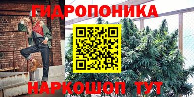 apvp Севастополь