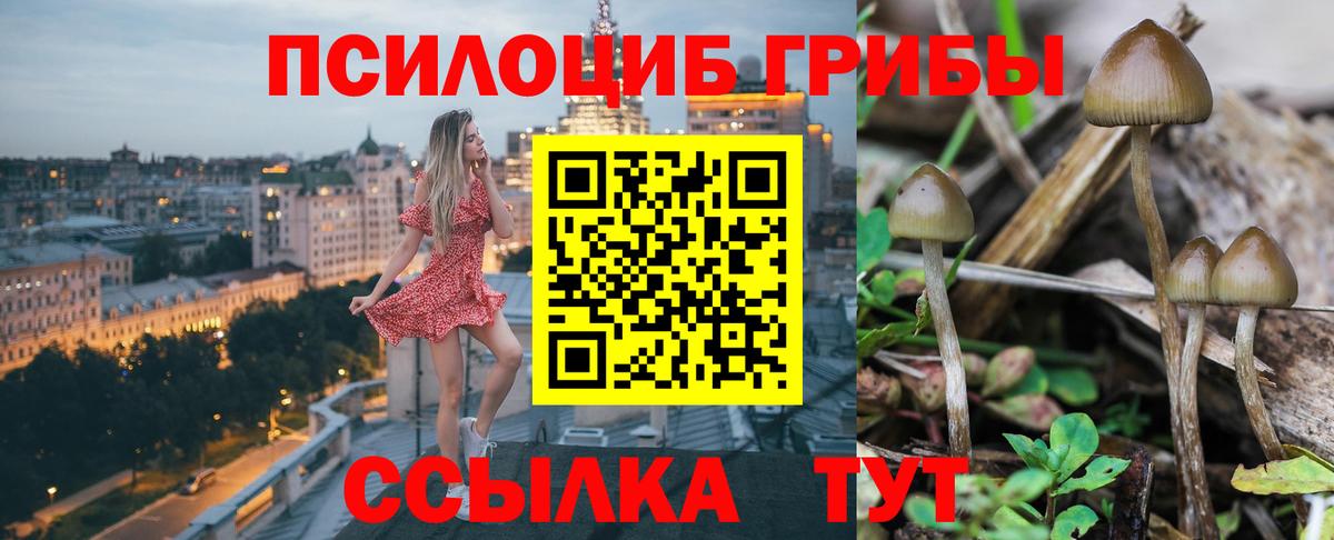 Псилоцибиновые грибы прущие грибы  Псилоцибиновые грибы Magic Shrooms  Вход с VPN  Нурлат 